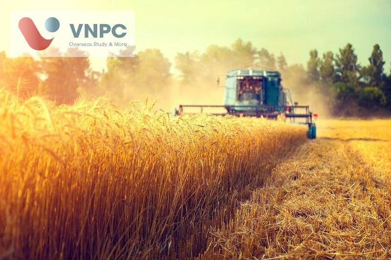 King888 shop hiện đang mở ngành nông nghiệp: Điều kiện và chi phí Đăng nhập King88 vina nhận +888K
